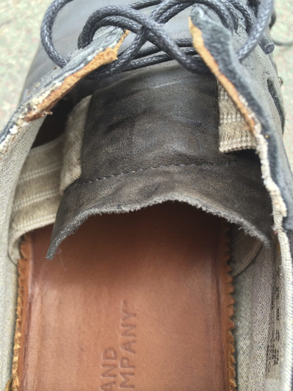 Insole and inside strap of the Timberland Wodehouse Oxfords