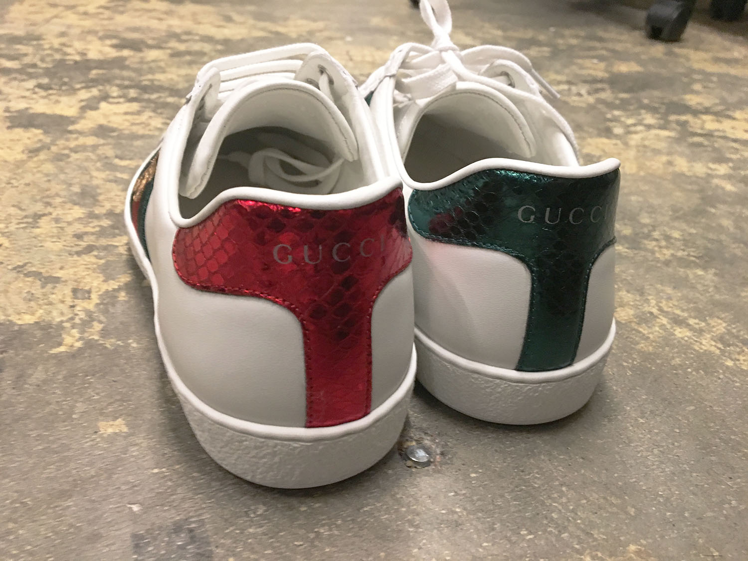 My Gucci Ace Sneakers Review - Mia Mia Mine