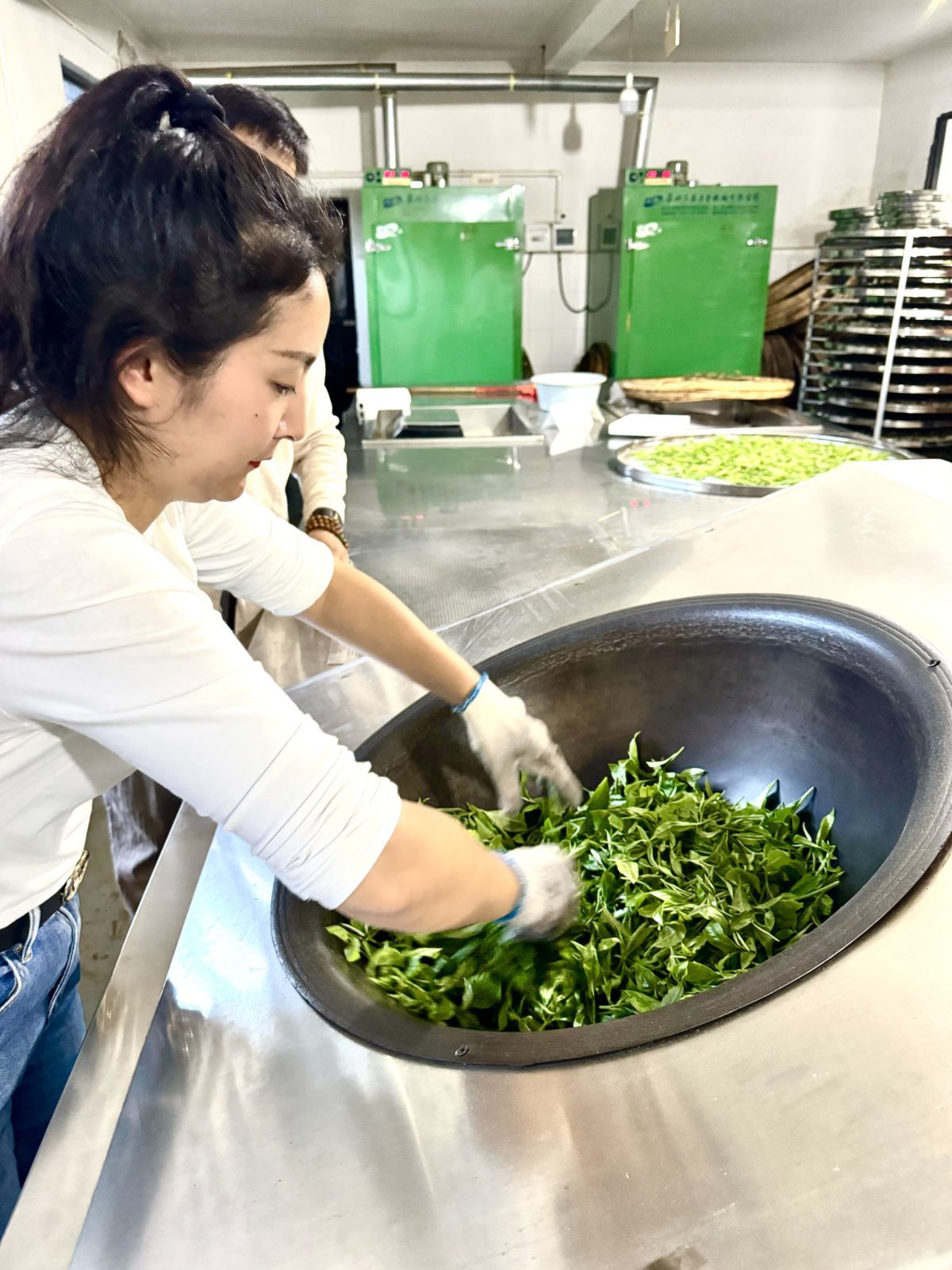 "Sha qing", or killing the green is a process of roasting the leaves in a wok, it is an important part of producing drinkable Pu'er tea
