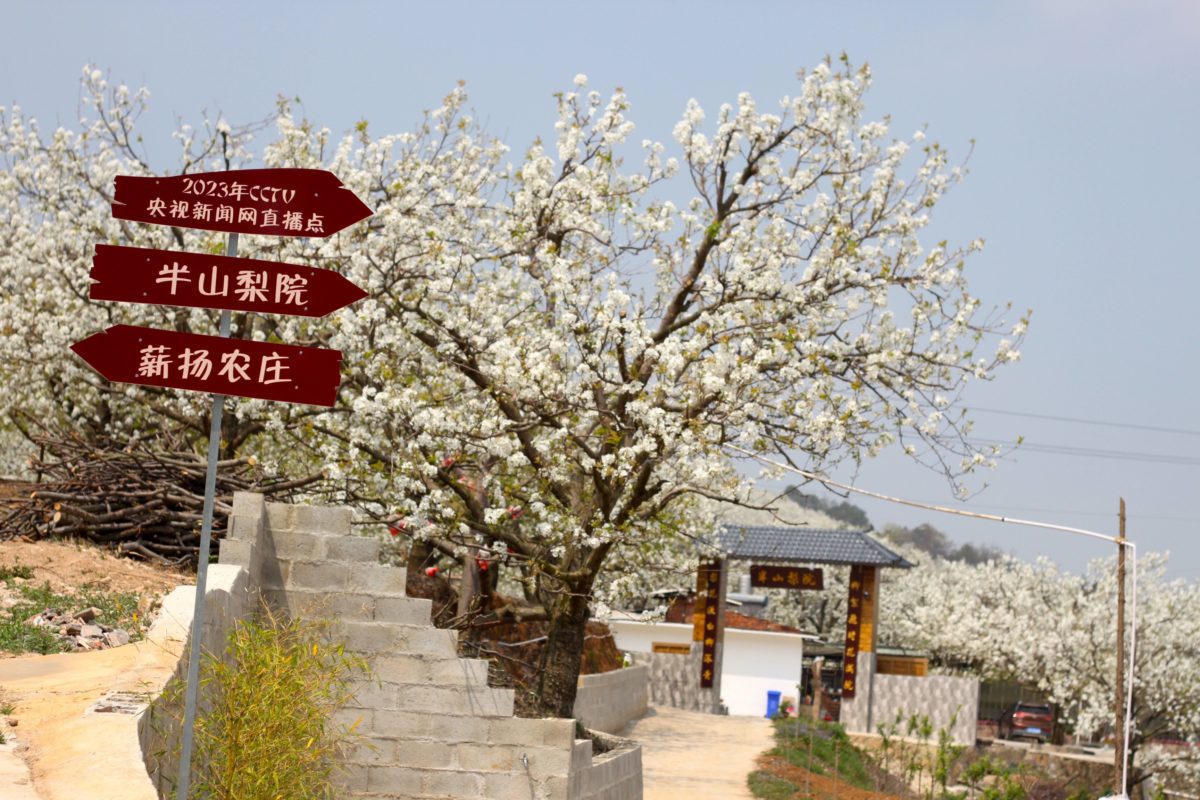 Roadside signs show tourists how to get around Shaochong and Jiajie in Yunnan province