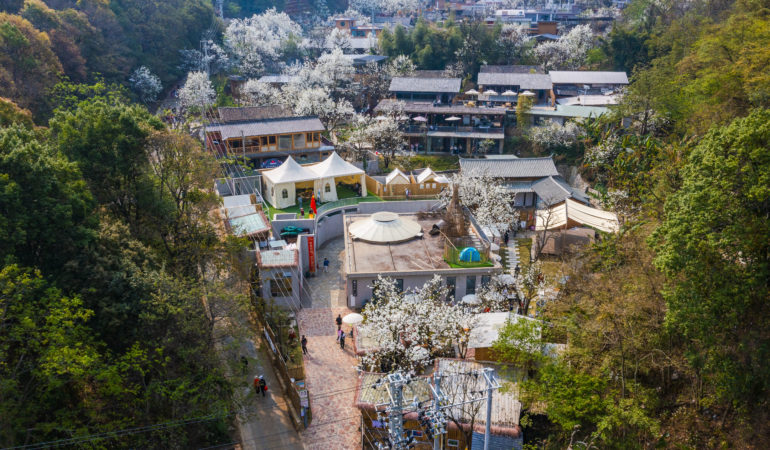 Peal Blossoms blossoming near Waju Art Exhibition Center (洼居美术馆) in Shaochong, an art fair is taking place